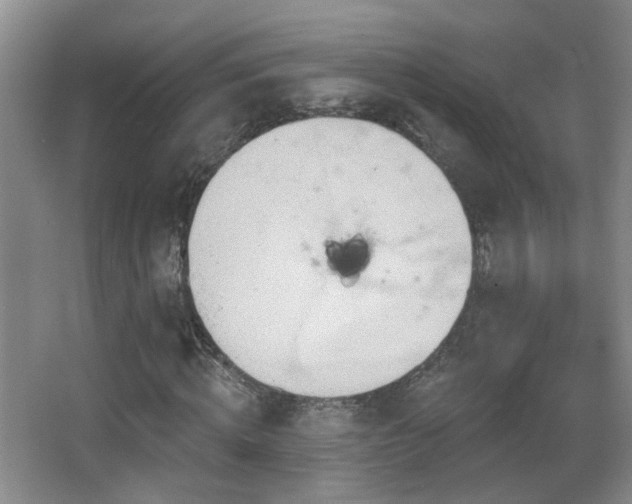 X0000066970820200603241208