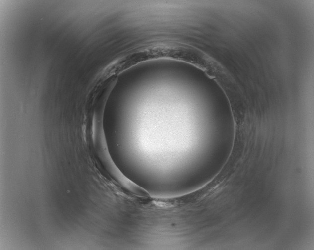 X0000066970822200603241208