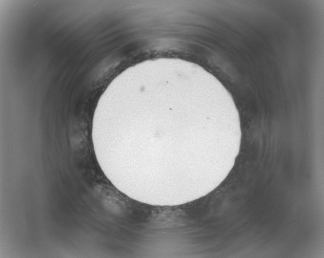 X0000066970824200603241208