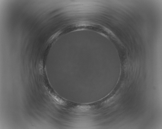 X0000066970825200603241208