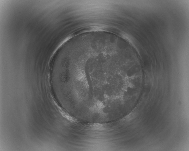 X0000066970827200603241208