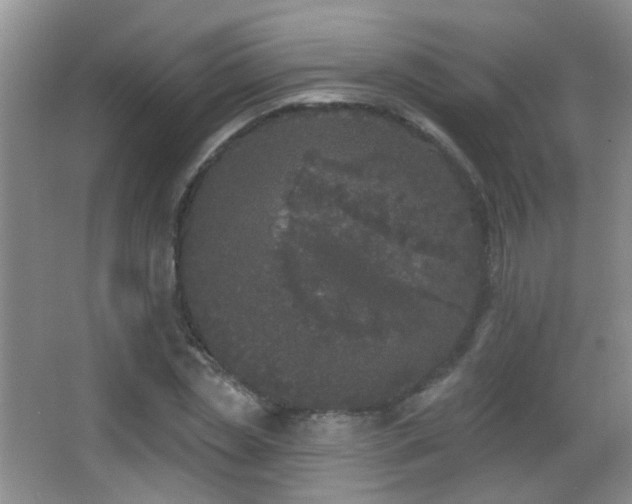 X0000066970829200603241208