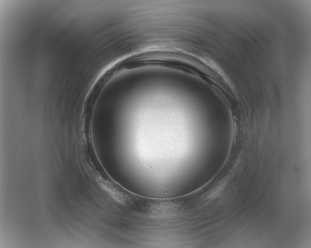 X0000066970830200603241208