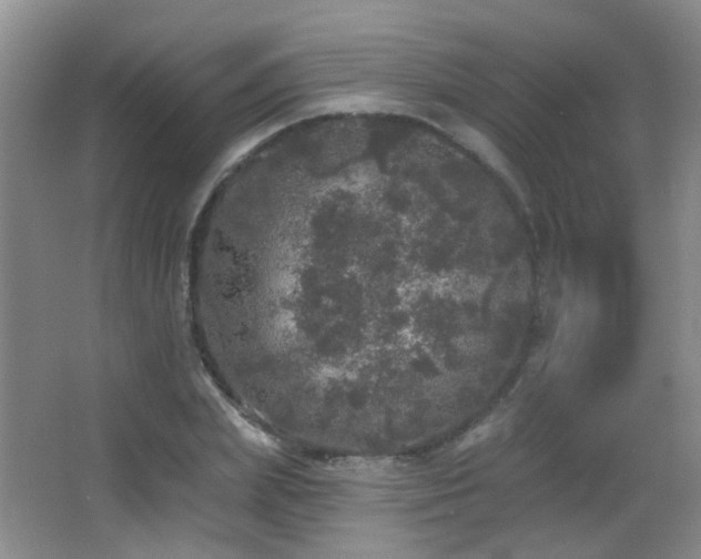 X0000066970831200603241208