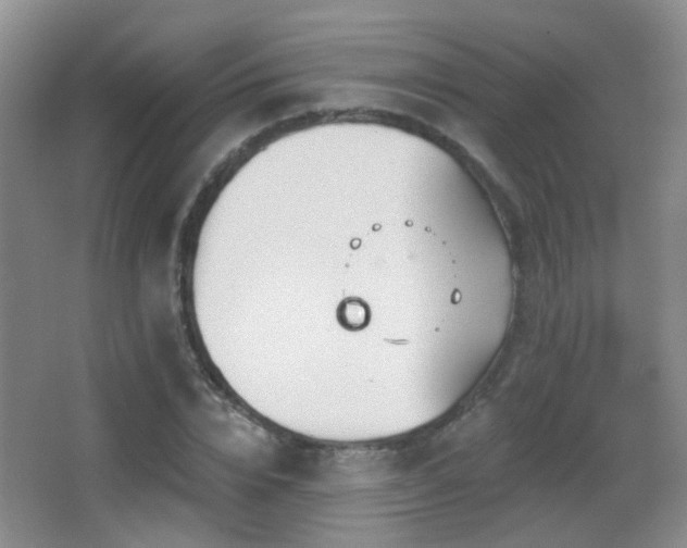 X0000066970832200603241208