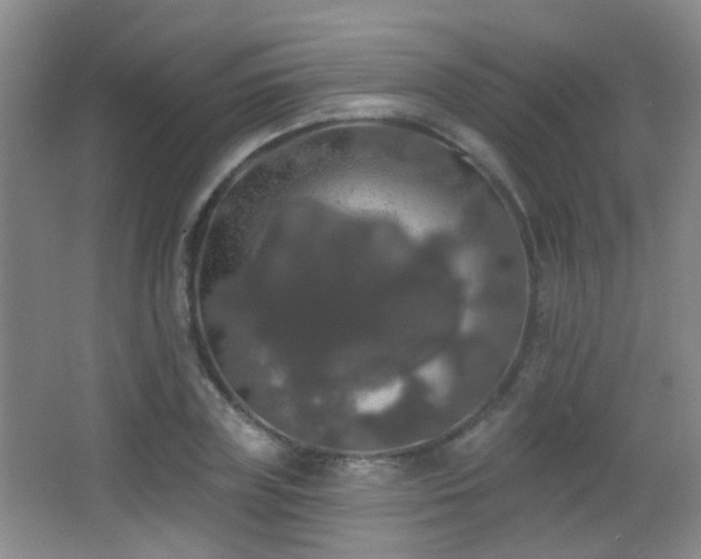 X0000066970835200603241208