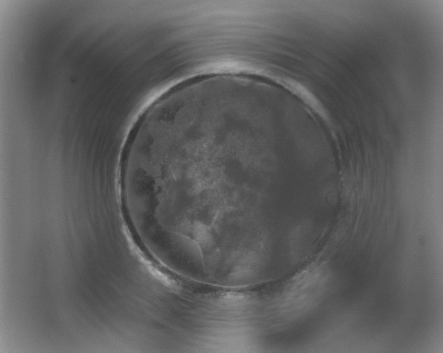 X0000066970839200603241208