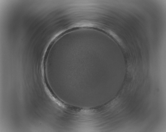 X0000066970840200603241208