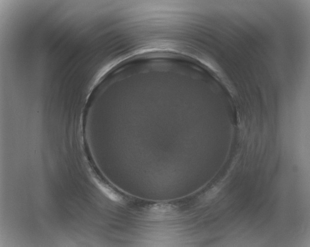 X0000066970842200603241208