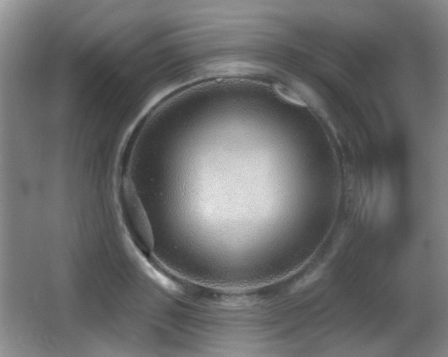 X0000066970843200603241208