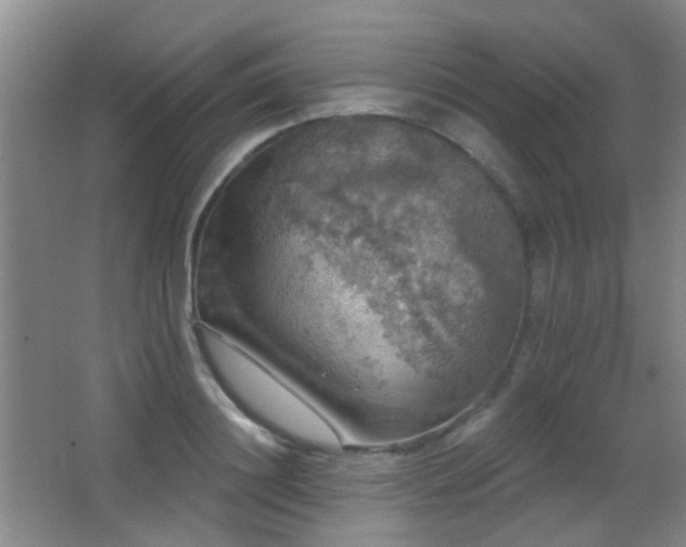 X0000066970844200603241208