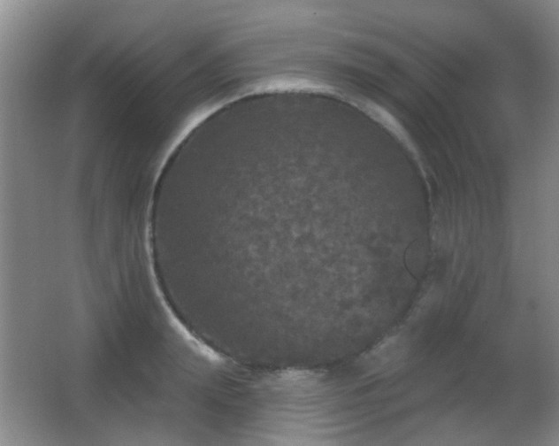 X0000066970847200603241208