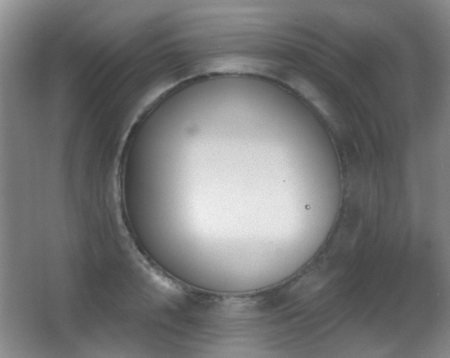 X0000066970848200603241208