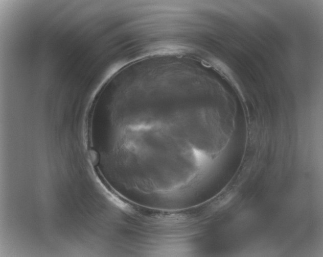 X0000066970851200603241208