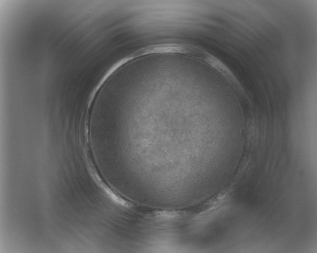 X0000066970852200603241208