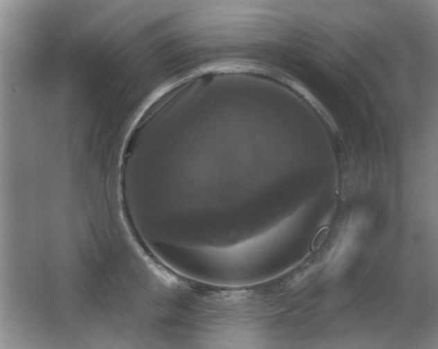 X0000066970853200603241208