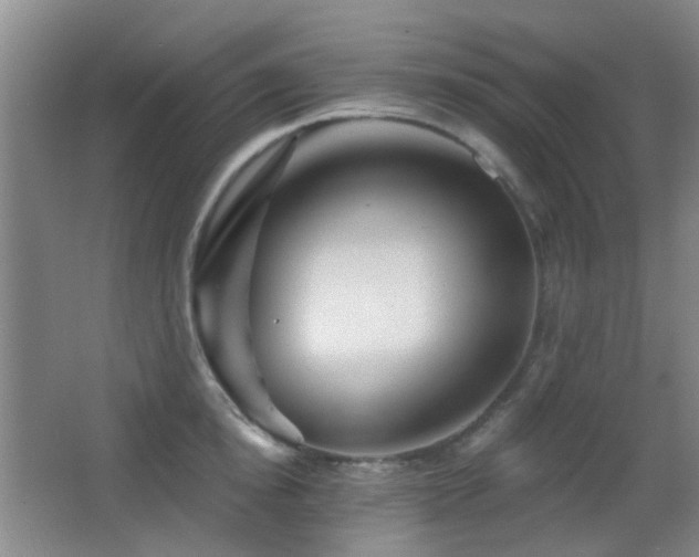 X0000066970854200603241208