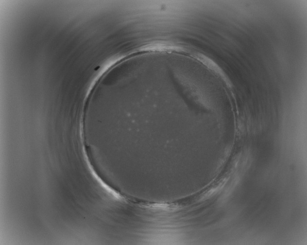 X0000066970855200603241208