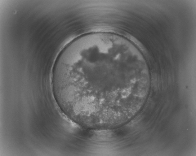 X0000066970856200603241208