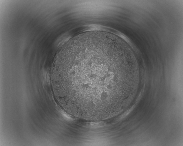 X0000066970857200603241208