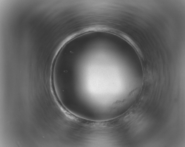 X0000066970861200603241209