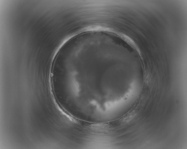 X0000066970863200603241209