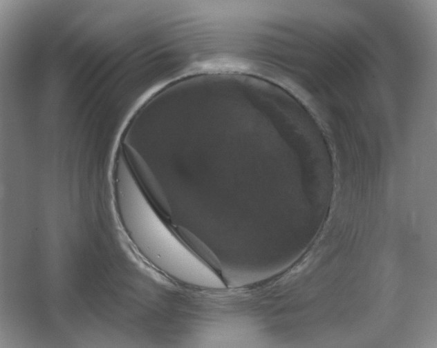 X0000066970864200603241209