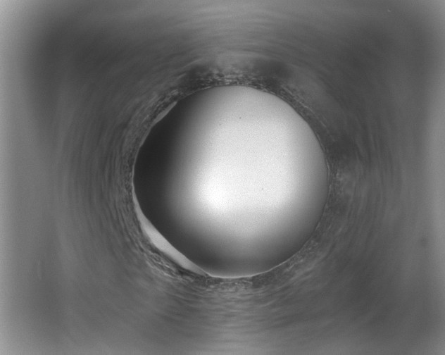 X0000066970865200603241208