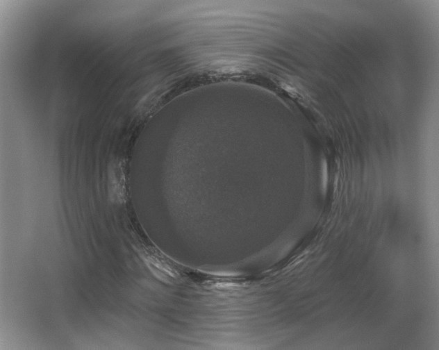 X0000066970868200603241208