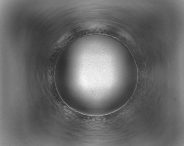 X0000066970869200603241208