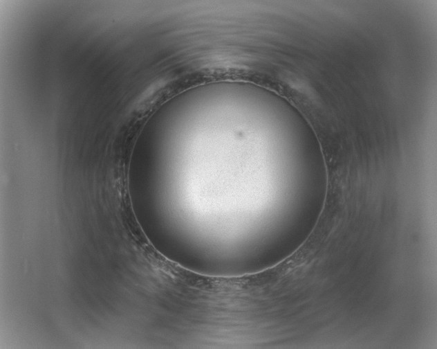 X0000066970870200603241208