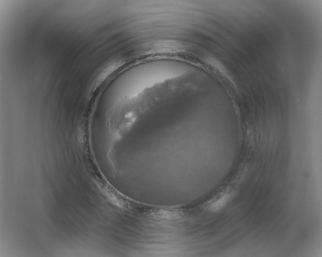 X0000066970874200603241208