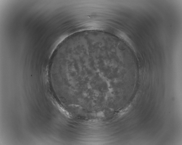 X0000066970875200603241208