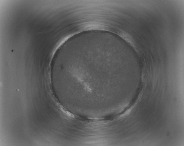 X0000066970877200603241208