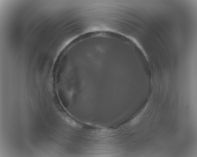 X0000066970879200603241208