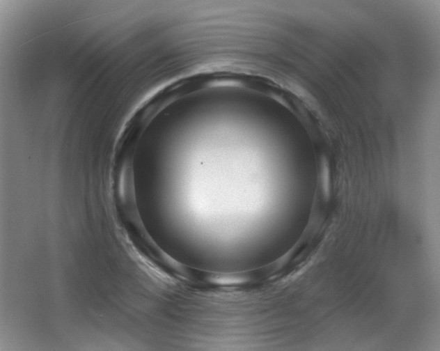 X0000066970880200603241208