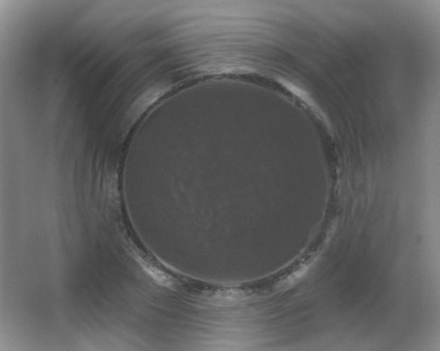 X0000066970881200603241208