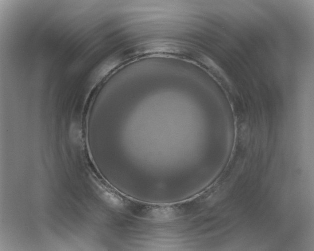 X0000066970882200603241208