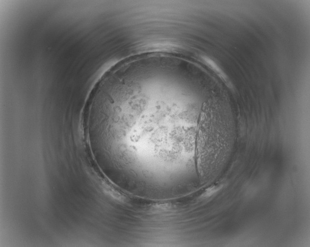 X0000066970883200603241207