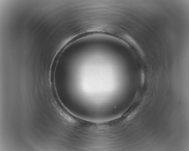 X0000066970884200603241207