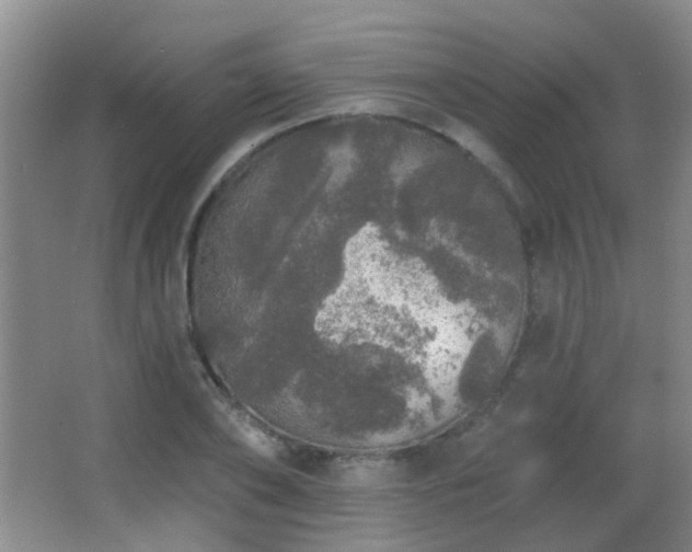 X0000066970886200603241207