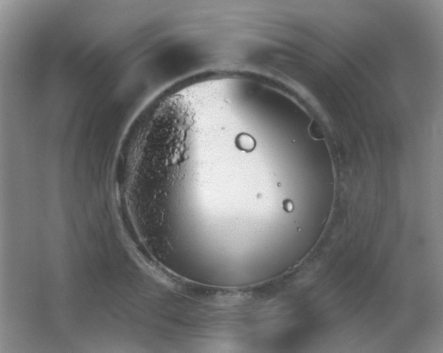 X0000066970887200603241207