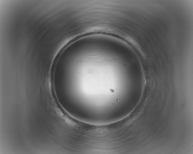 X0000066970888200603241207