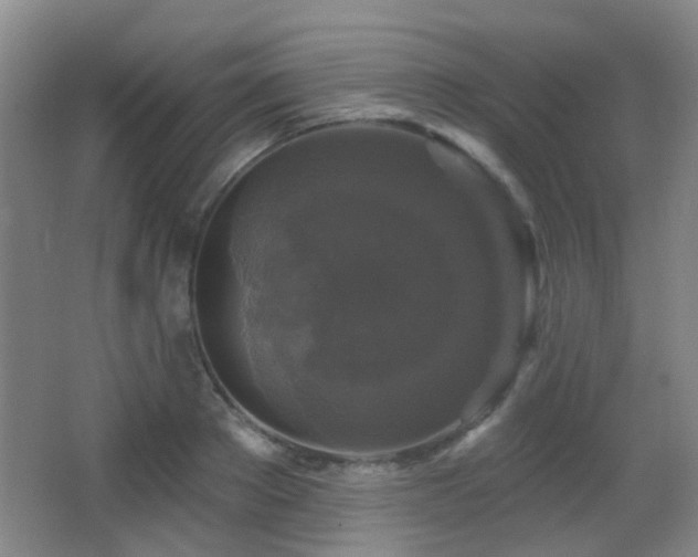 X0000066970889200603241207