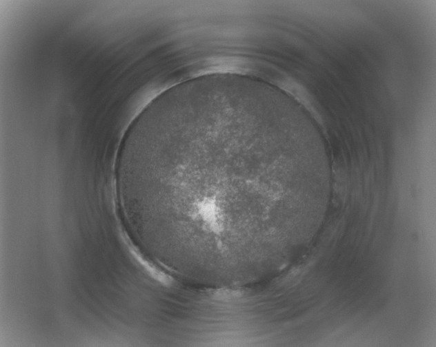 X0000066970890200603241207