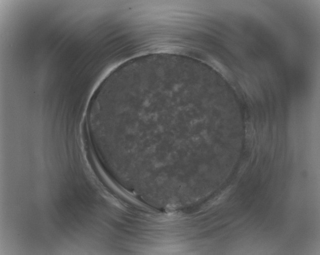 X0000066970891200603241207