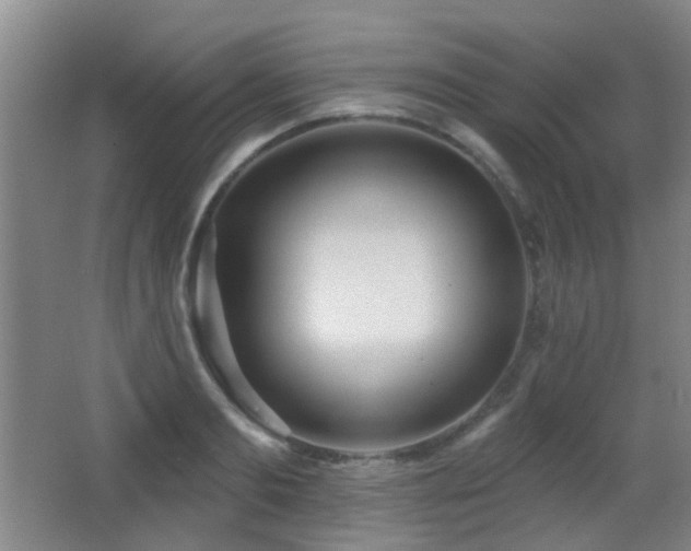 X0000066970893200603241207