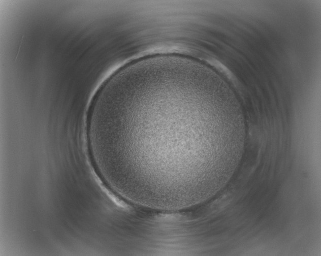 X0000066970894200603241207