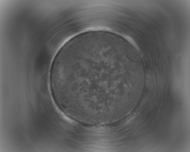 X0000066970895200603241207