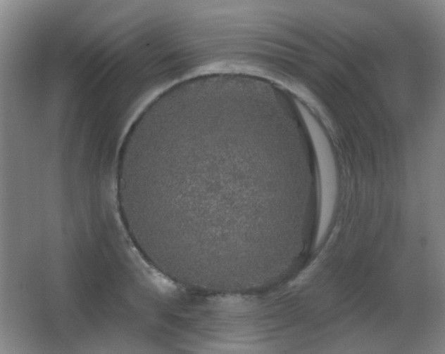 X0000066970896200603241207